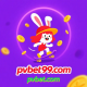 pvbet99.com favicon